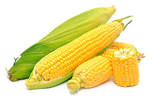 Sweet Corn