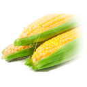 Sweet corn