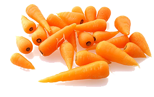 zanahoria chantenay